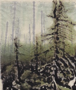 forest11