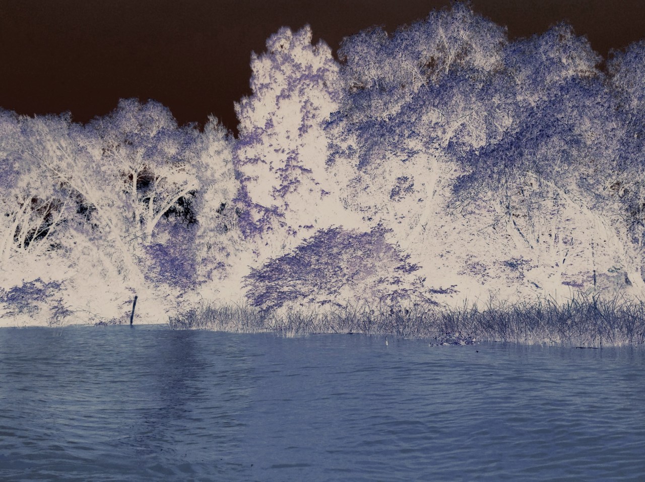 invertedparanalandscape2