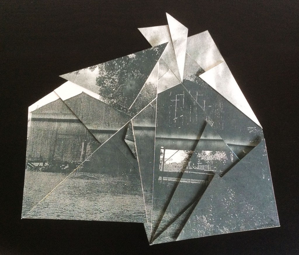 VictoriaAhrens_collageParana_1